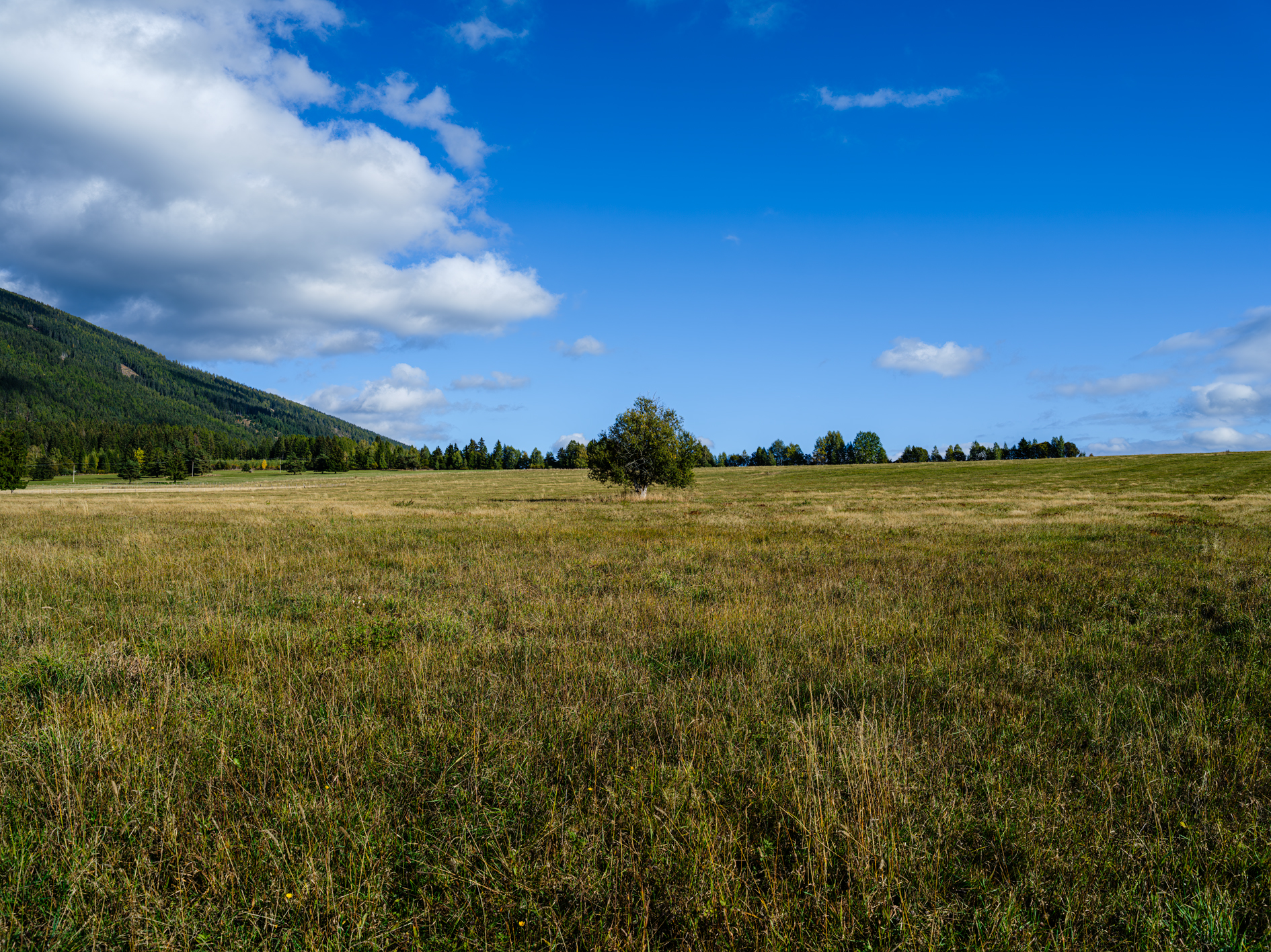 GFX100S000_014-Pro HI refocus copy.jpg