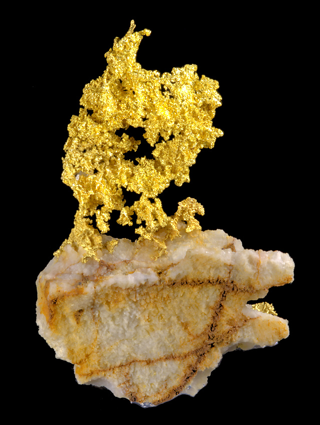 Gold 4.jpg