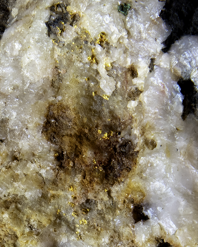 gold in quartz.jpg