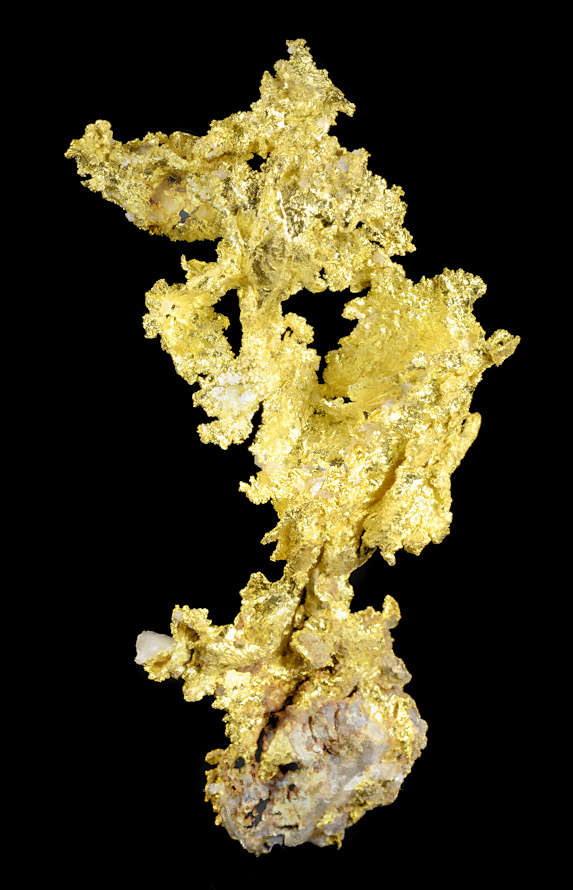 Gold Three.jpg