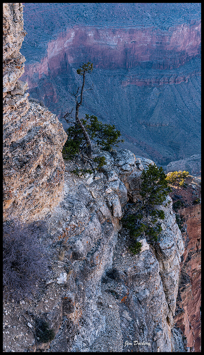 Grand-Canyon-071.jpg