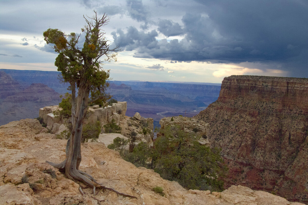 Grand Canyon-2.jpg