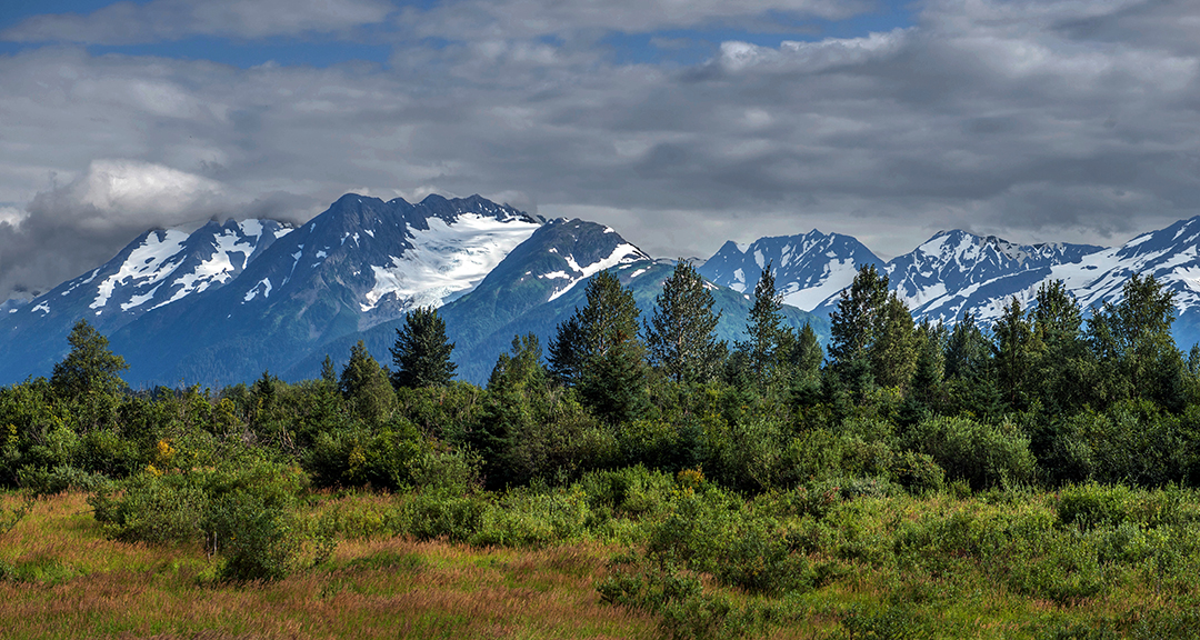 Grasses and glaciers.jpg
