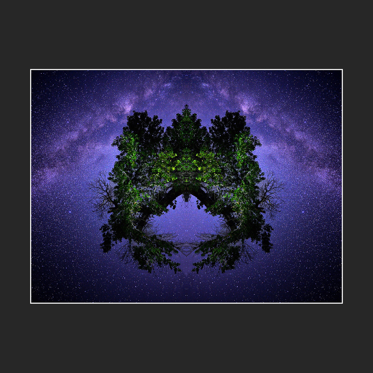 grow.jpg