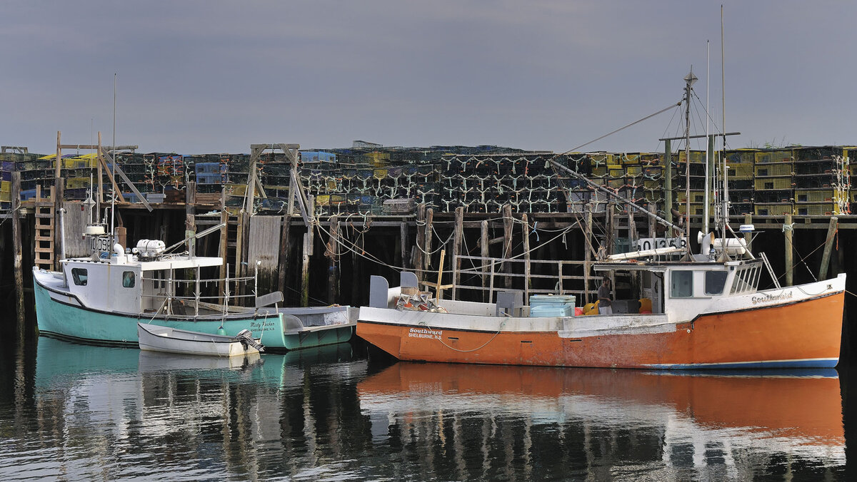 Harbor.jpg