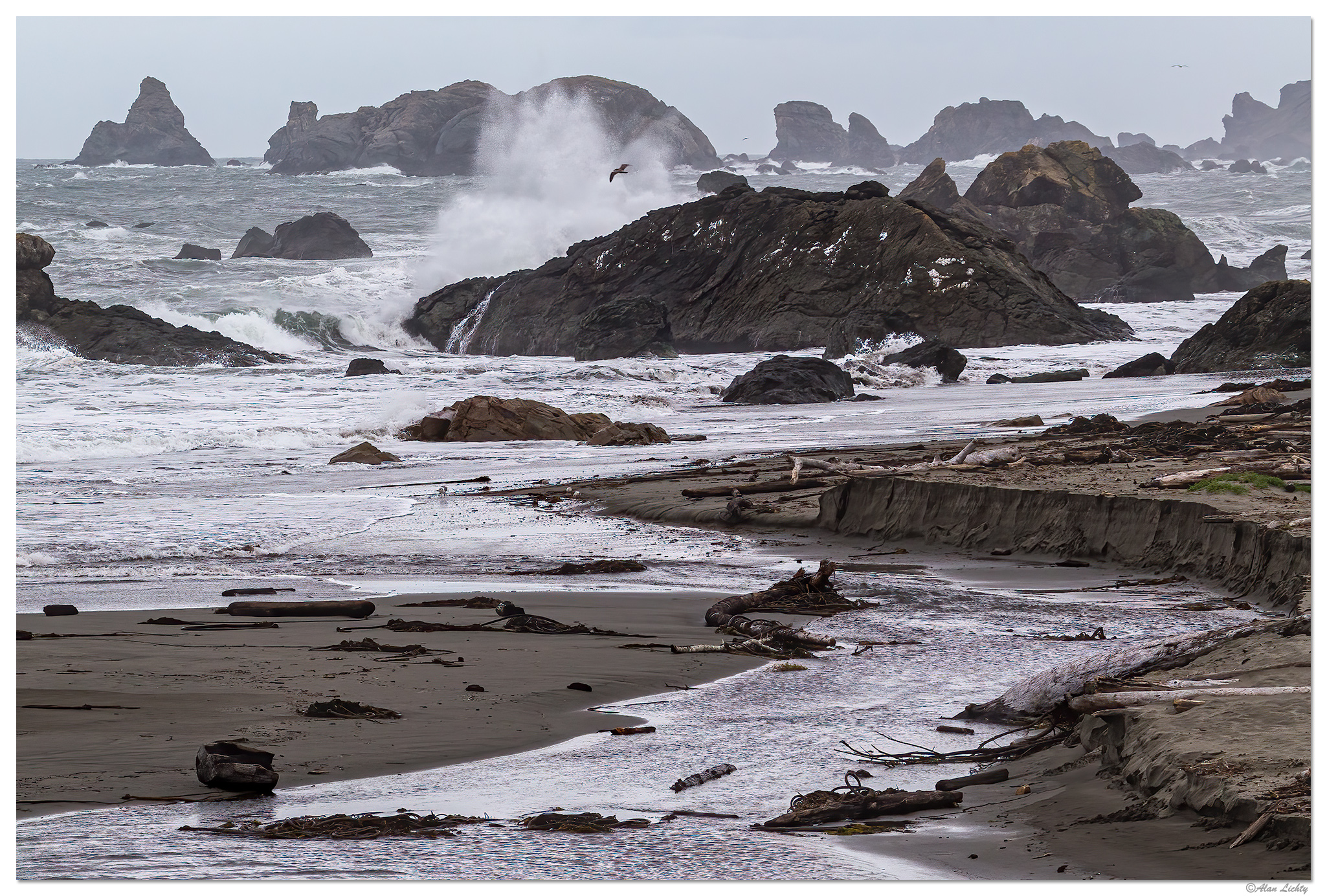 HBSP-120515-1.jpg