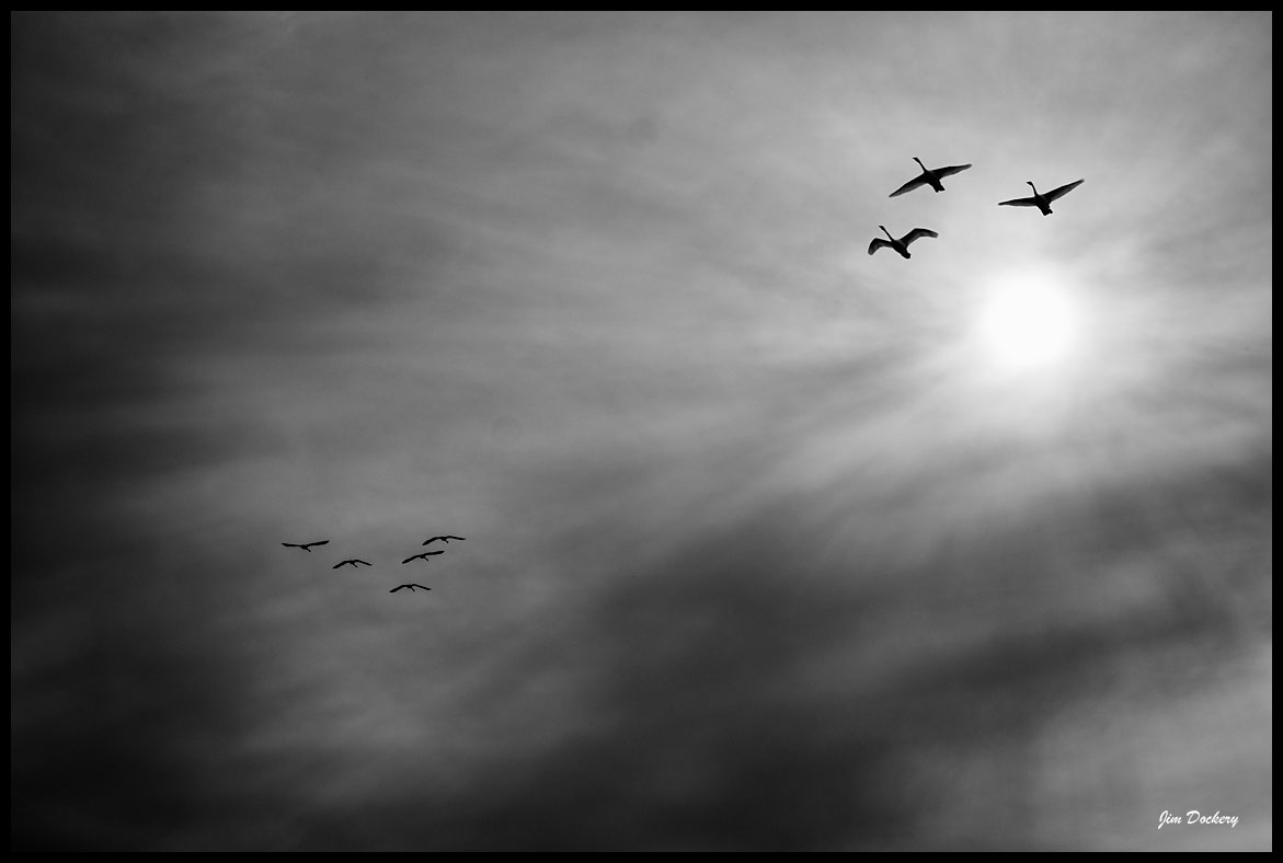 Heirman-Wildlife-Preserve-(34bw).jpg