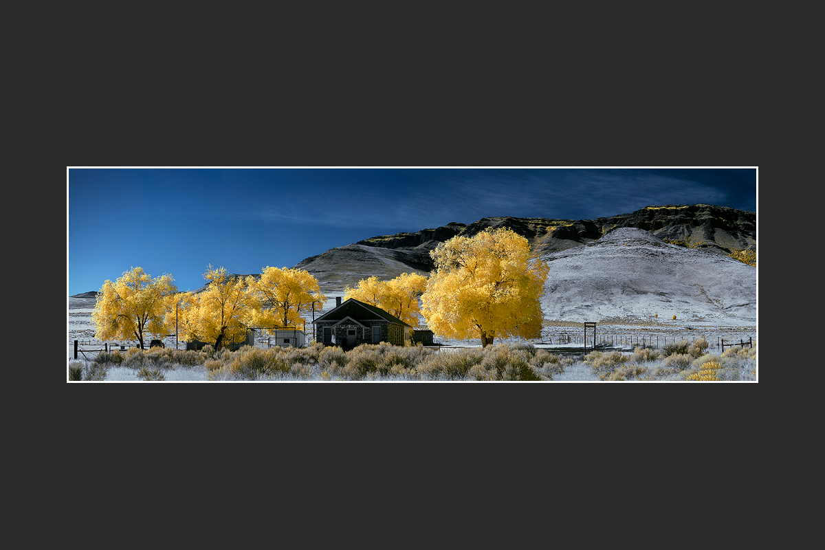 homest.jpg