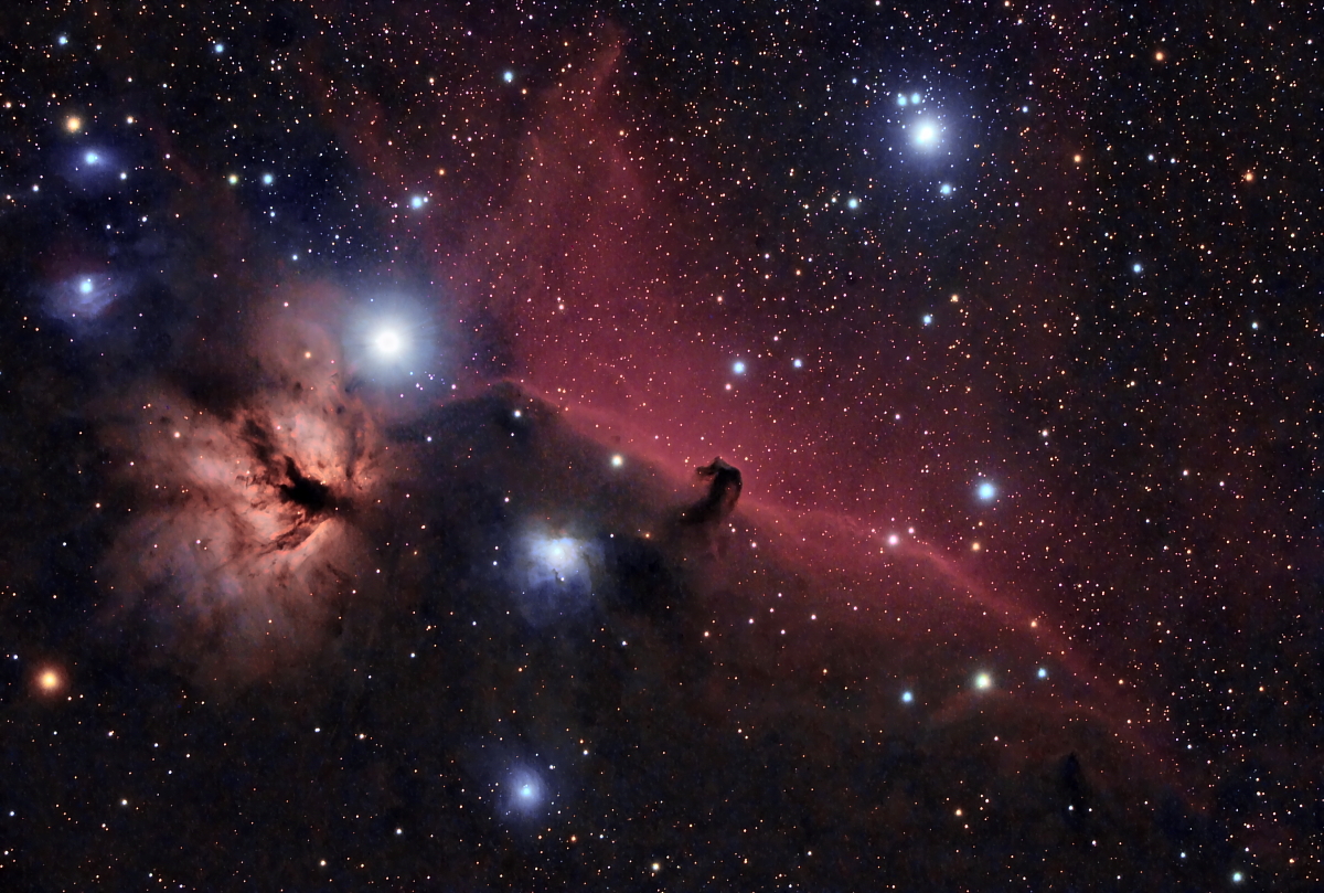 horsehead.JPG