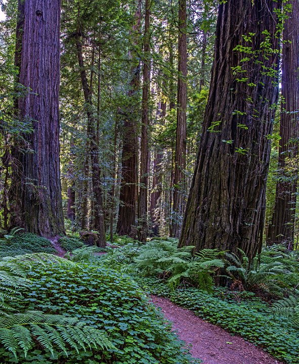 Humbolt State Park.jpg