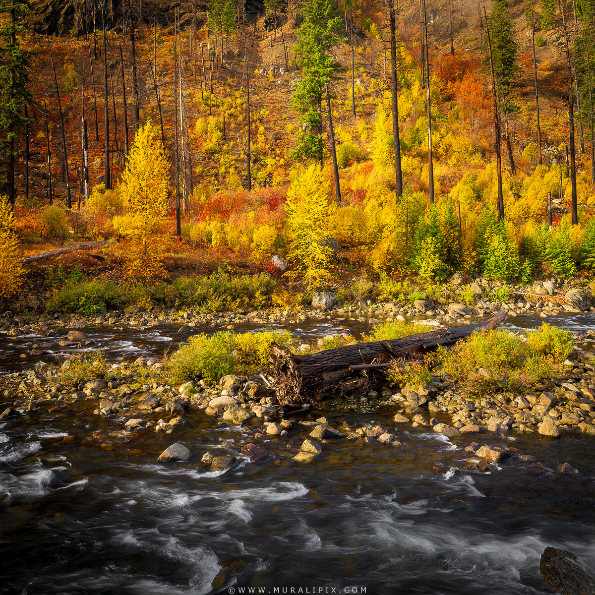 HWay 2 Fovorites - 11.jpg