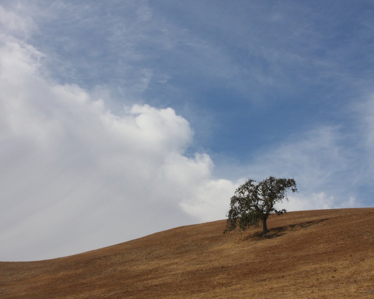I40_1303_081027_c2w.JPG