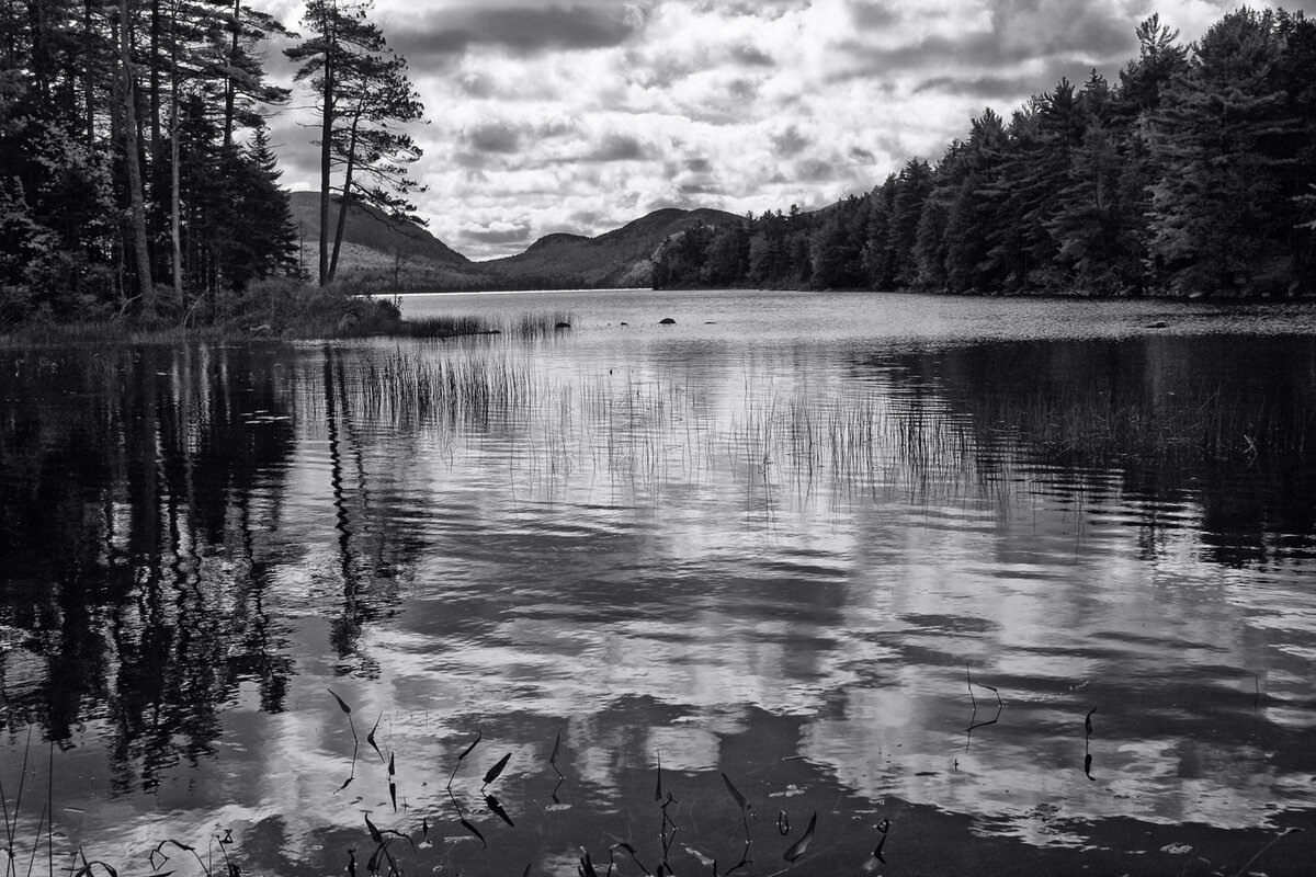 I40_9299_091008_SE1w.jpg