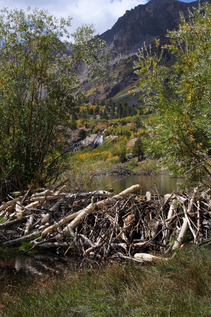 I40_9970_080930w.JPG