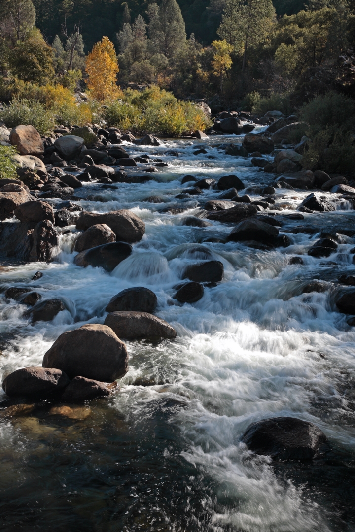I5D_5154_091030w.JPG