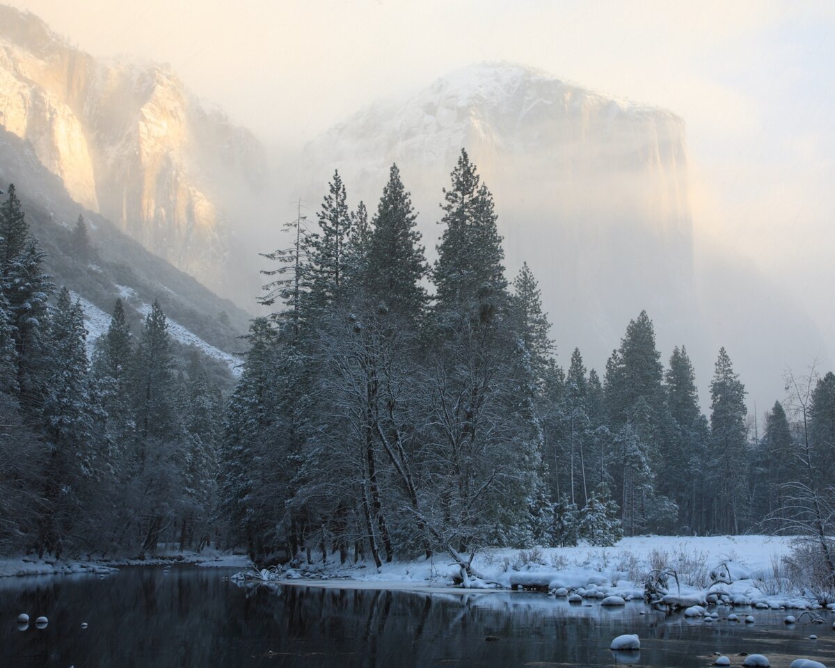 I5D_8541_081223w.JPG