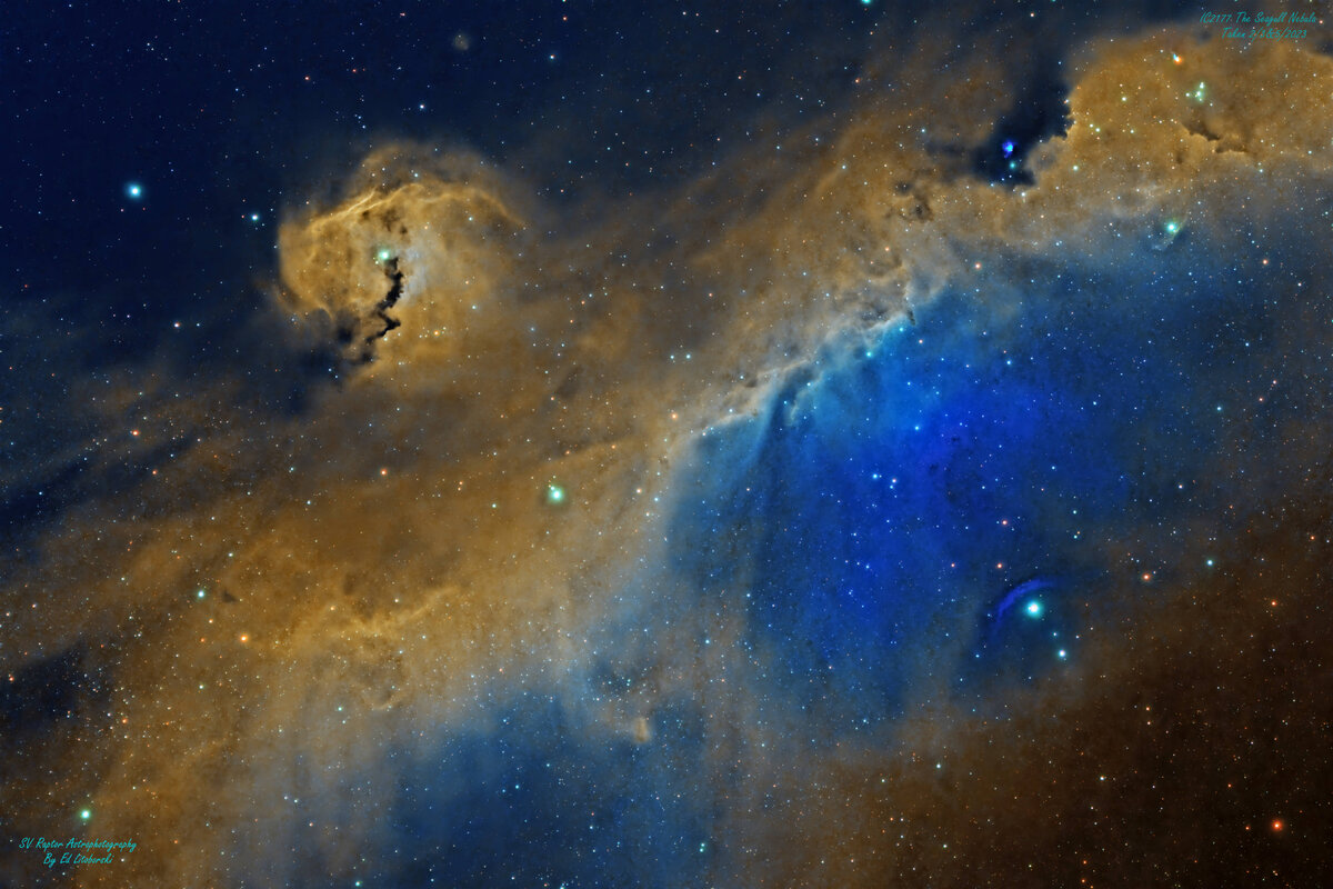 IC2177_SV_Rev2.1d.jpg