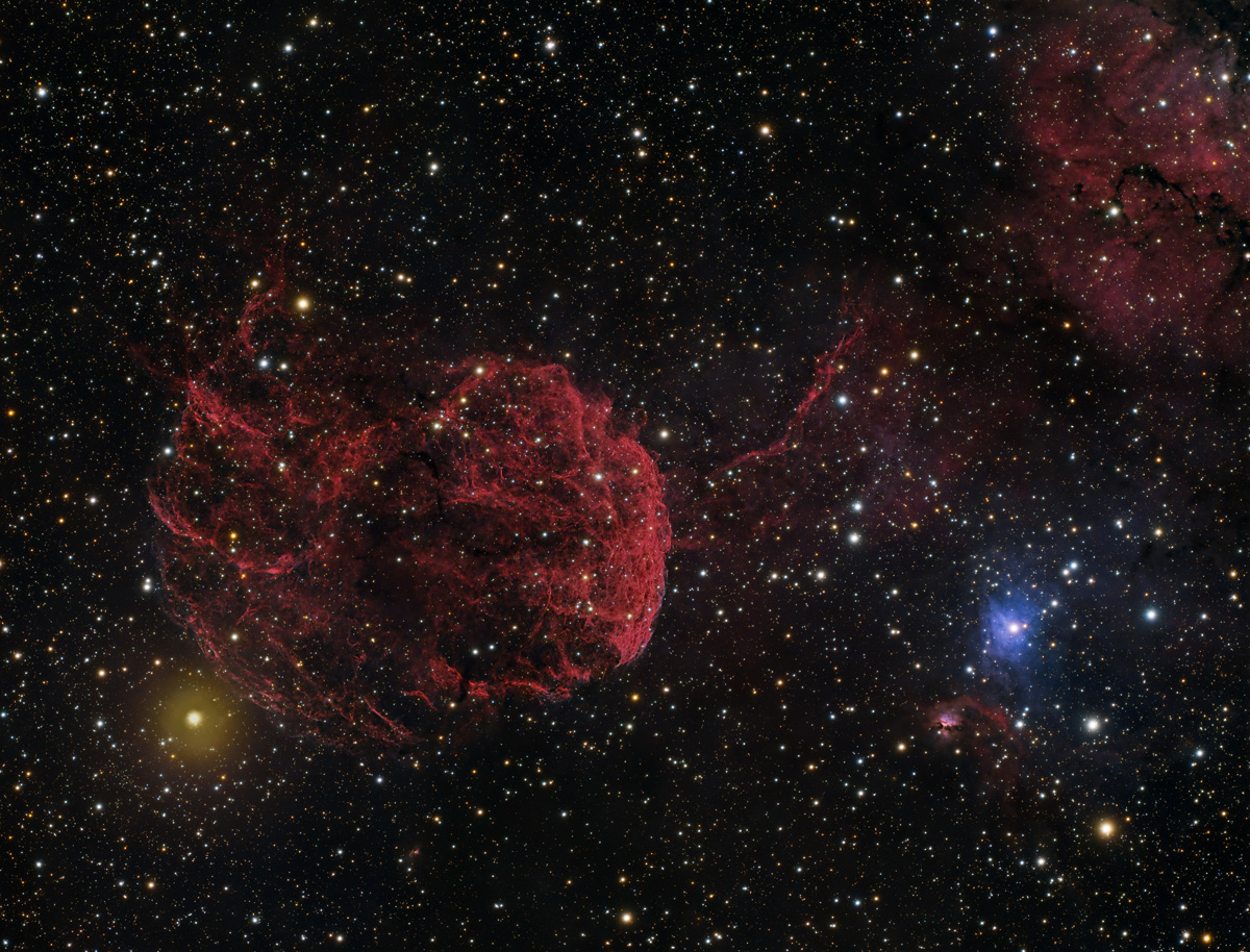 IC443_Jellyfish_20240129_dw.jpg