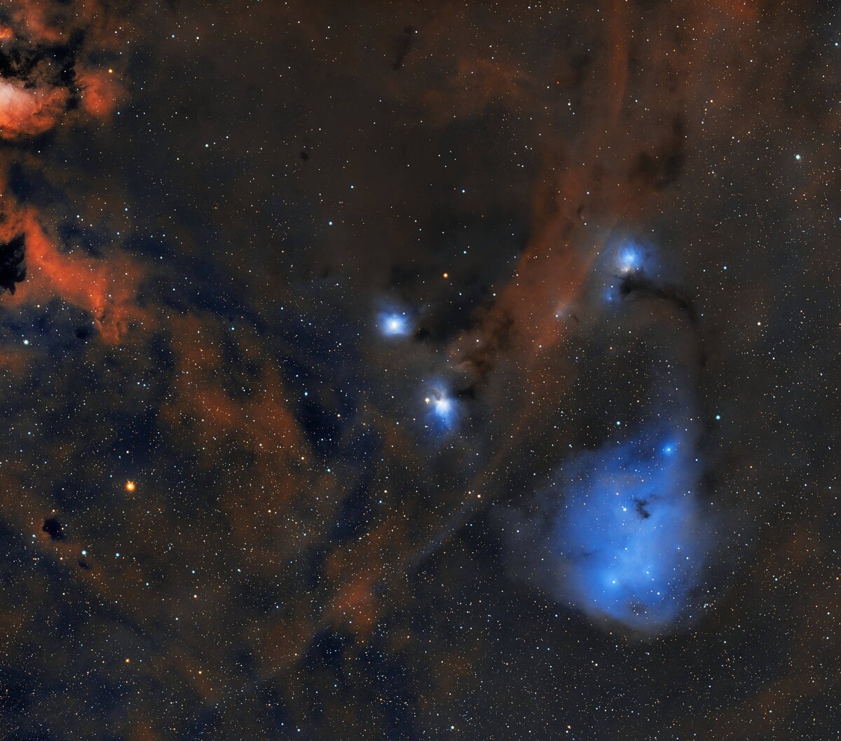 IC477_SV_RED_26_Tri_1_19_26.jpg