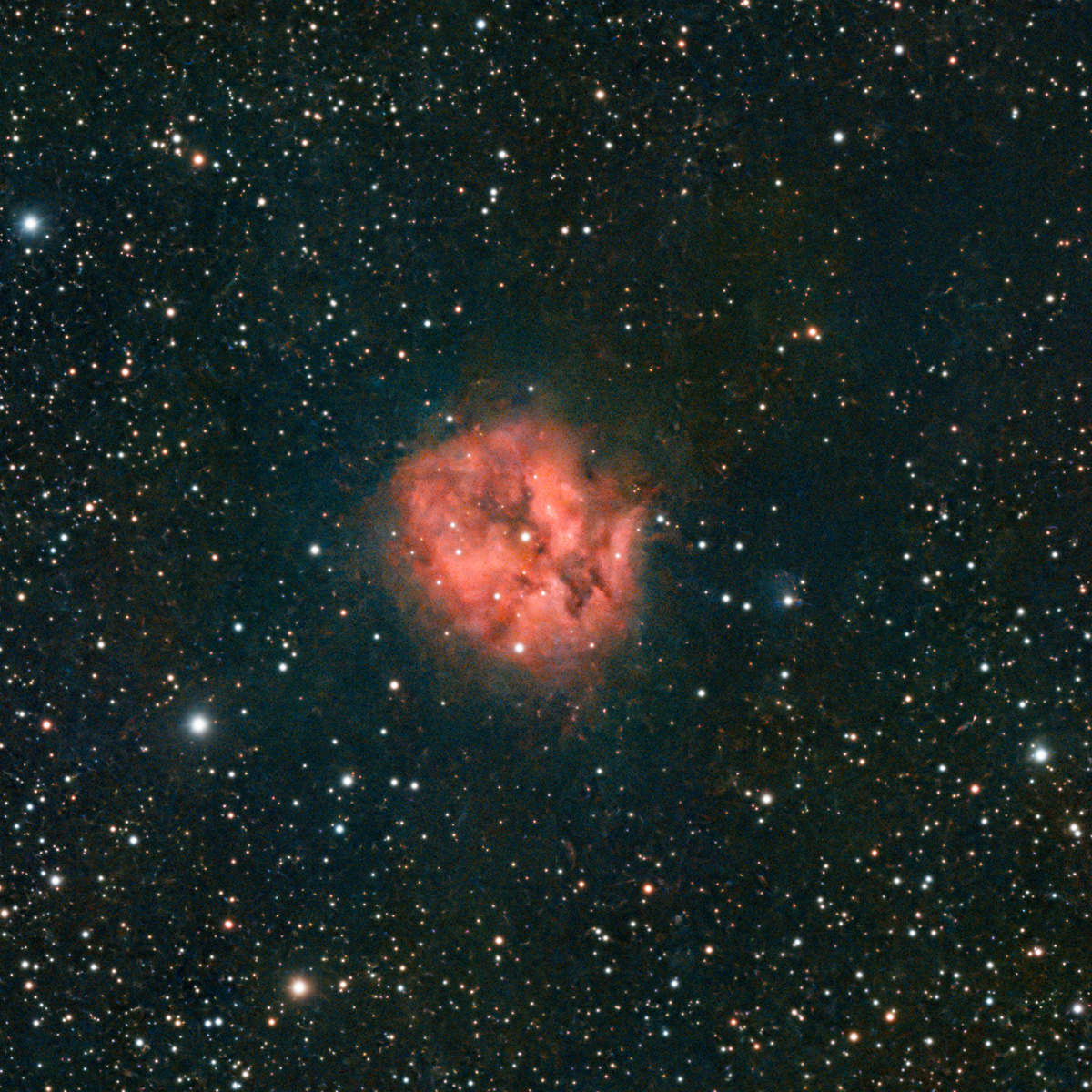 IC5146_CocoonNeb_SeestarS50_20250829_dw.jpg