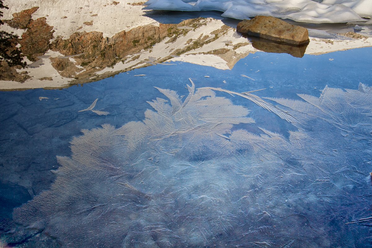 ice-feathers-Shell-Lake-Nik.jpg