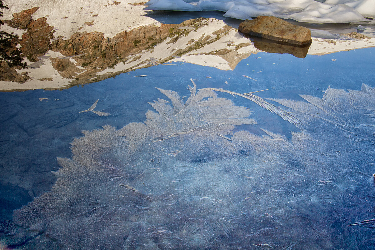 ice-feathers-Shell-Lake-Nik.jpg