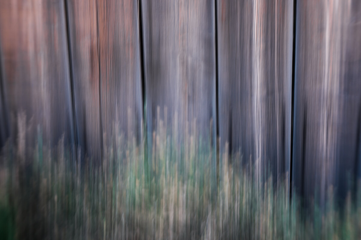 ICM---2.jpg