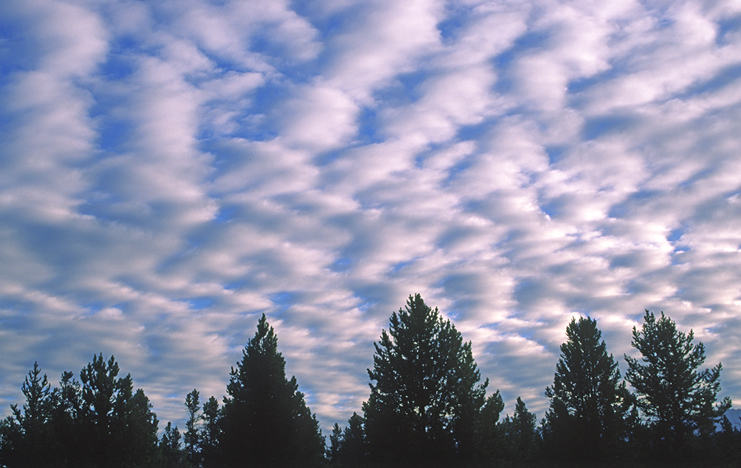 illinois altocumulus.jpg