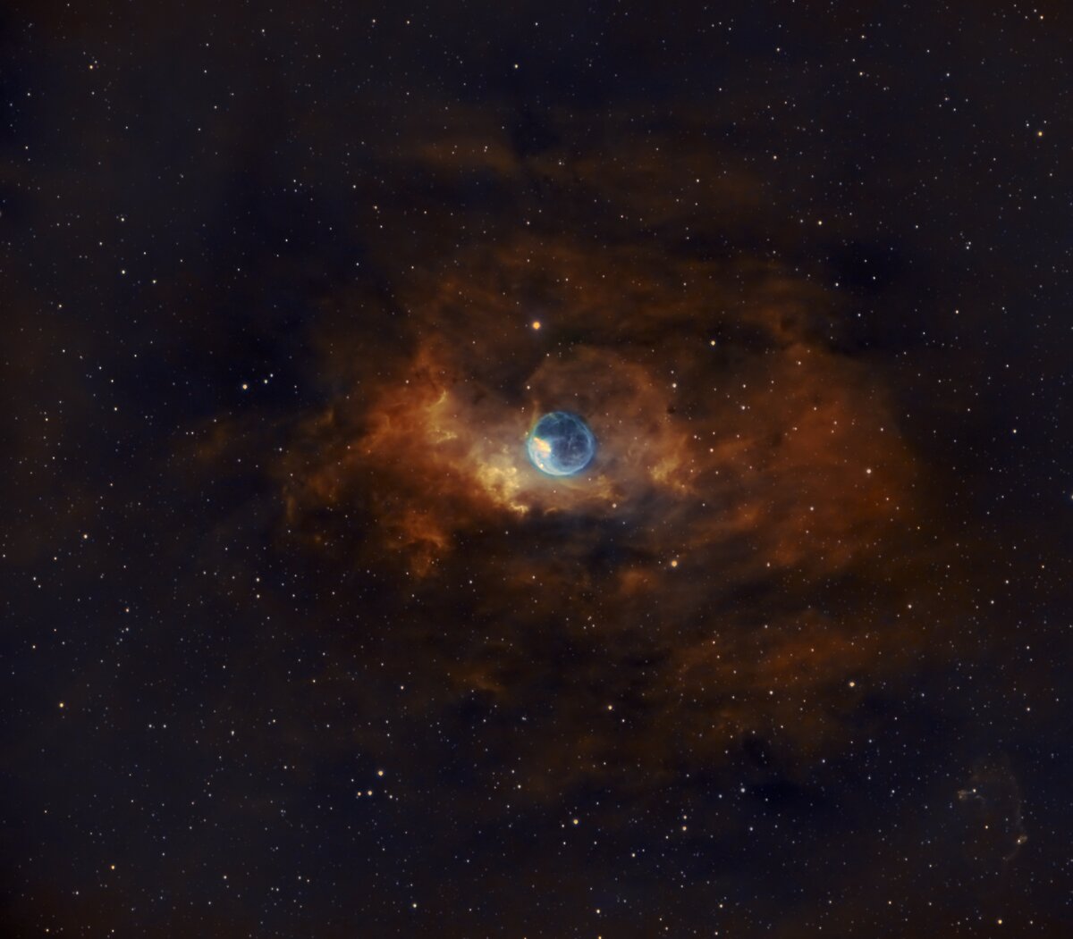 Image102_less crop.jpg