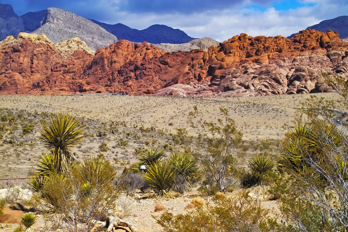 IMG03442a.jpg