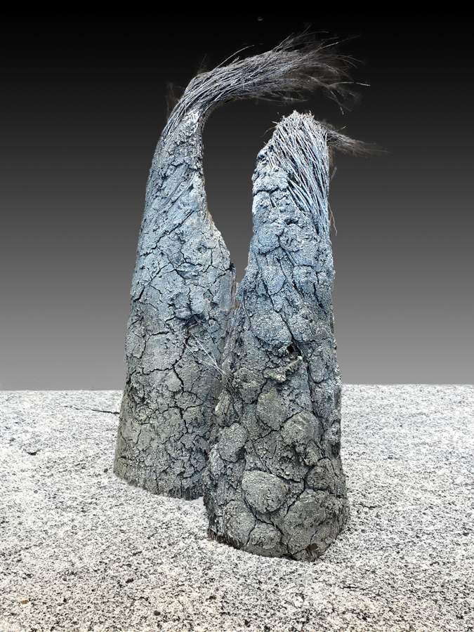 IMG_2610-cement floor-2.jpg