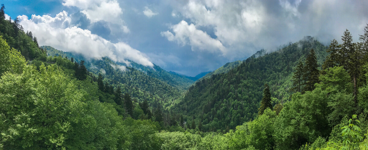 IMG_4315-Pano-Edit-2.jpg