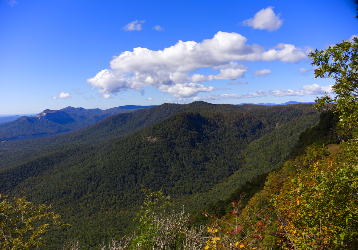 IMG_5666.jpg