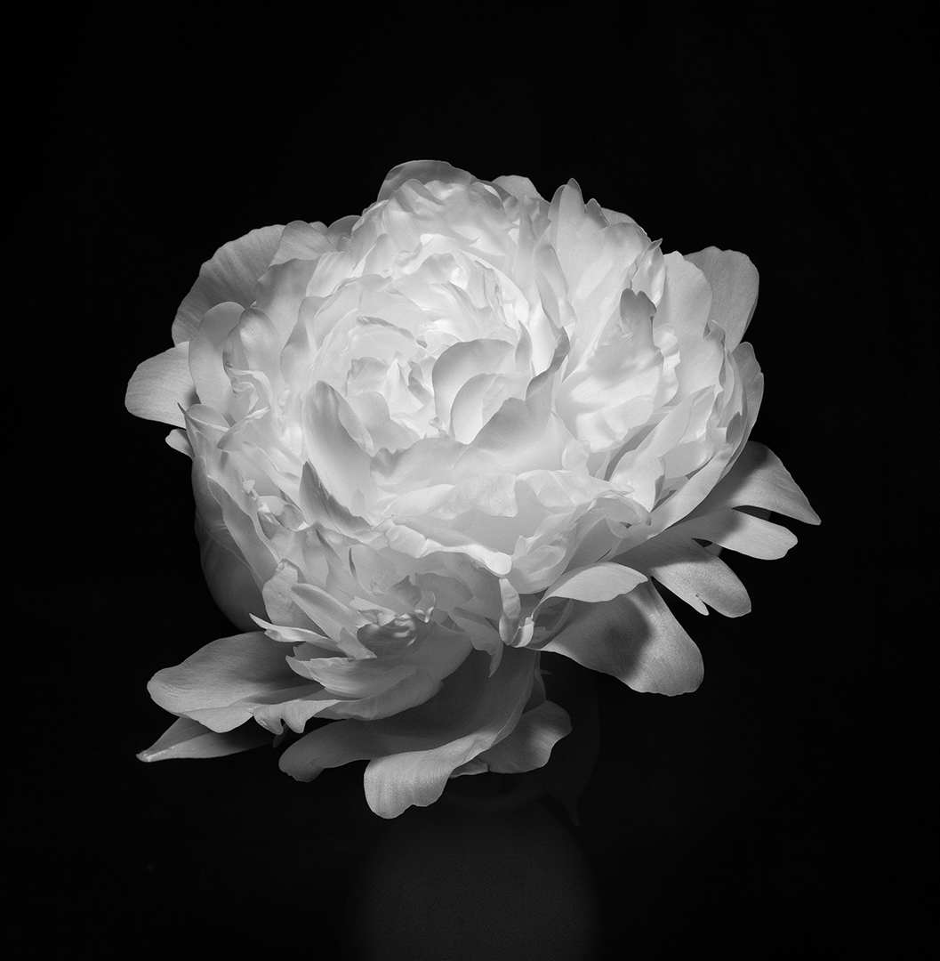 IMG_7388-Edit-2.jpg