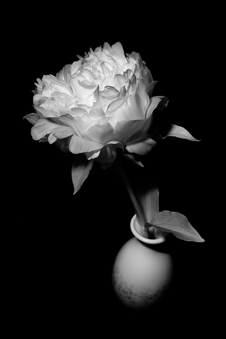 IMG_7402-Edit-2.jpg