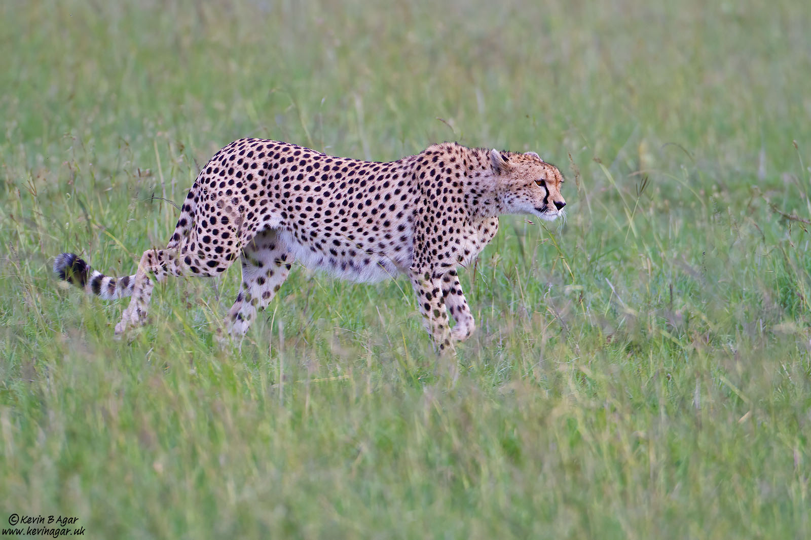 IMG_7499.jpg