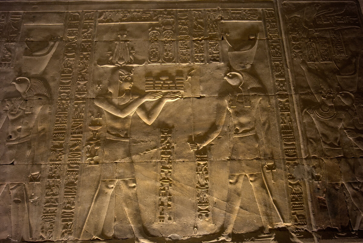 IMG_7741.jpg