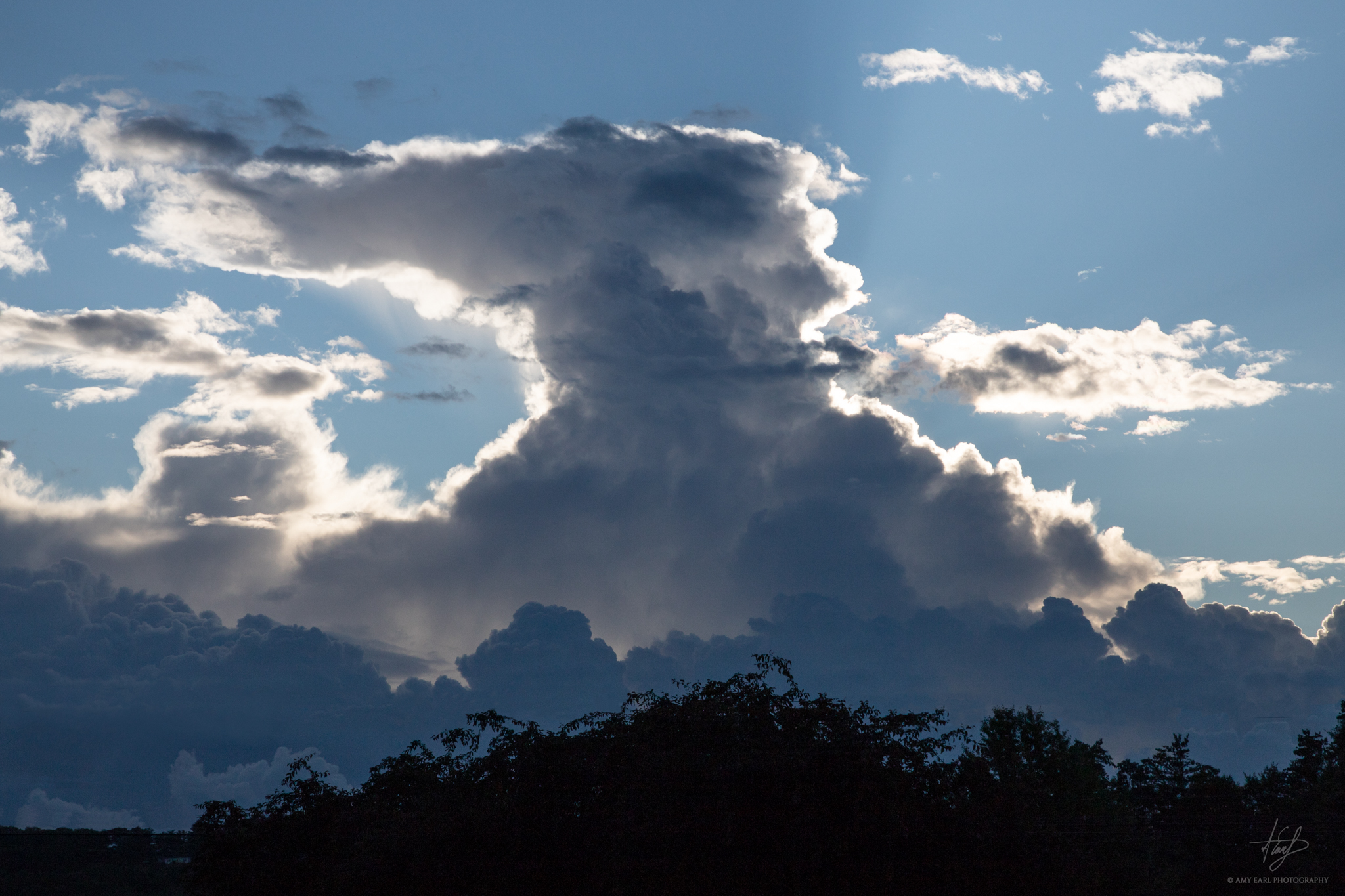 IMG_8248-Edit-2048px.jpg