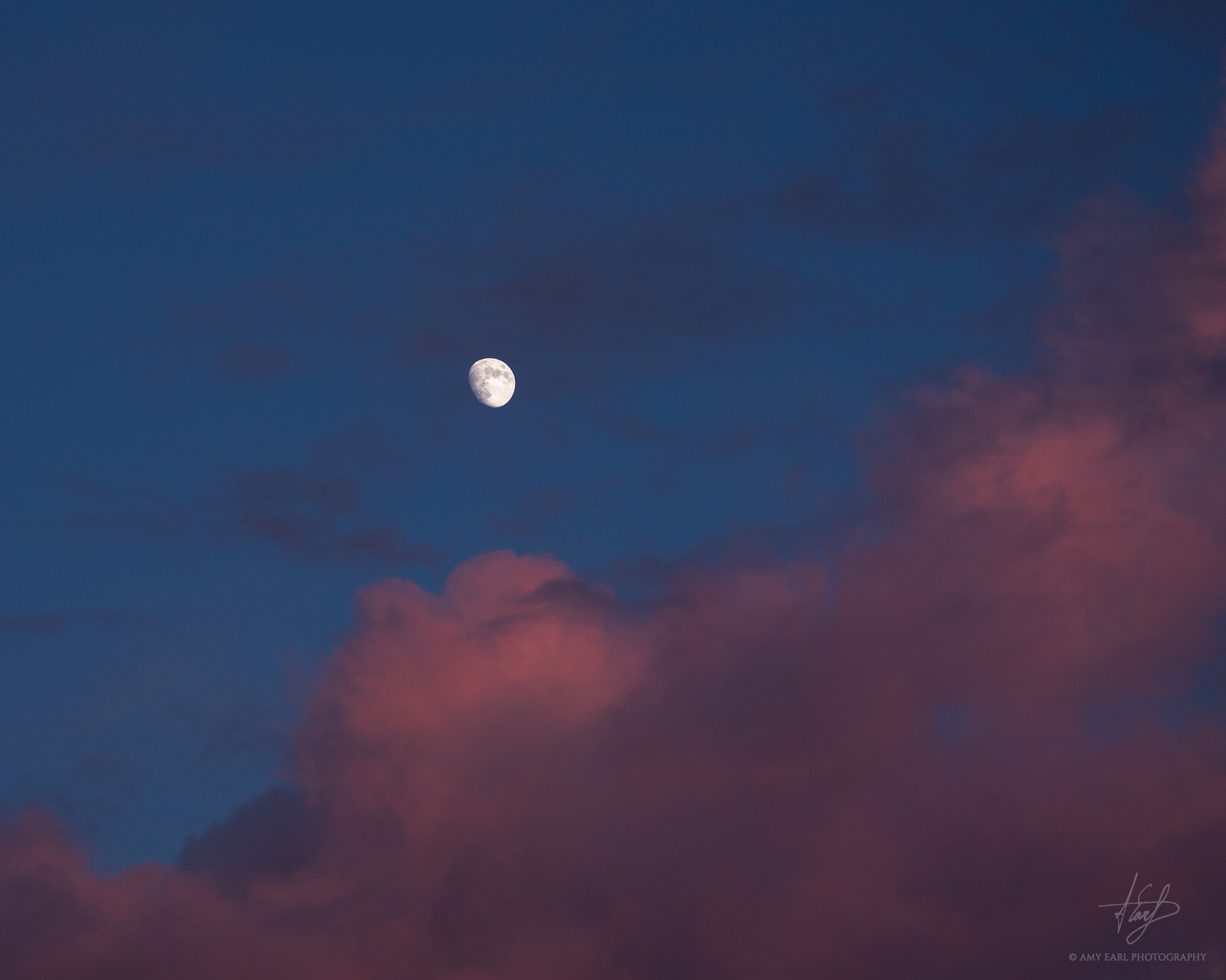IMG_8285-Edit-2048px.jpg
