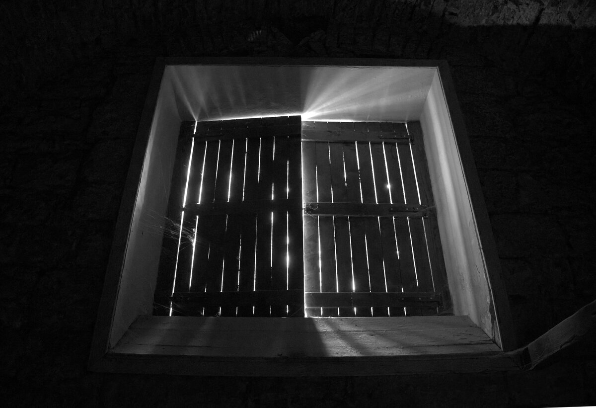 IMG_8656-bw.jpg