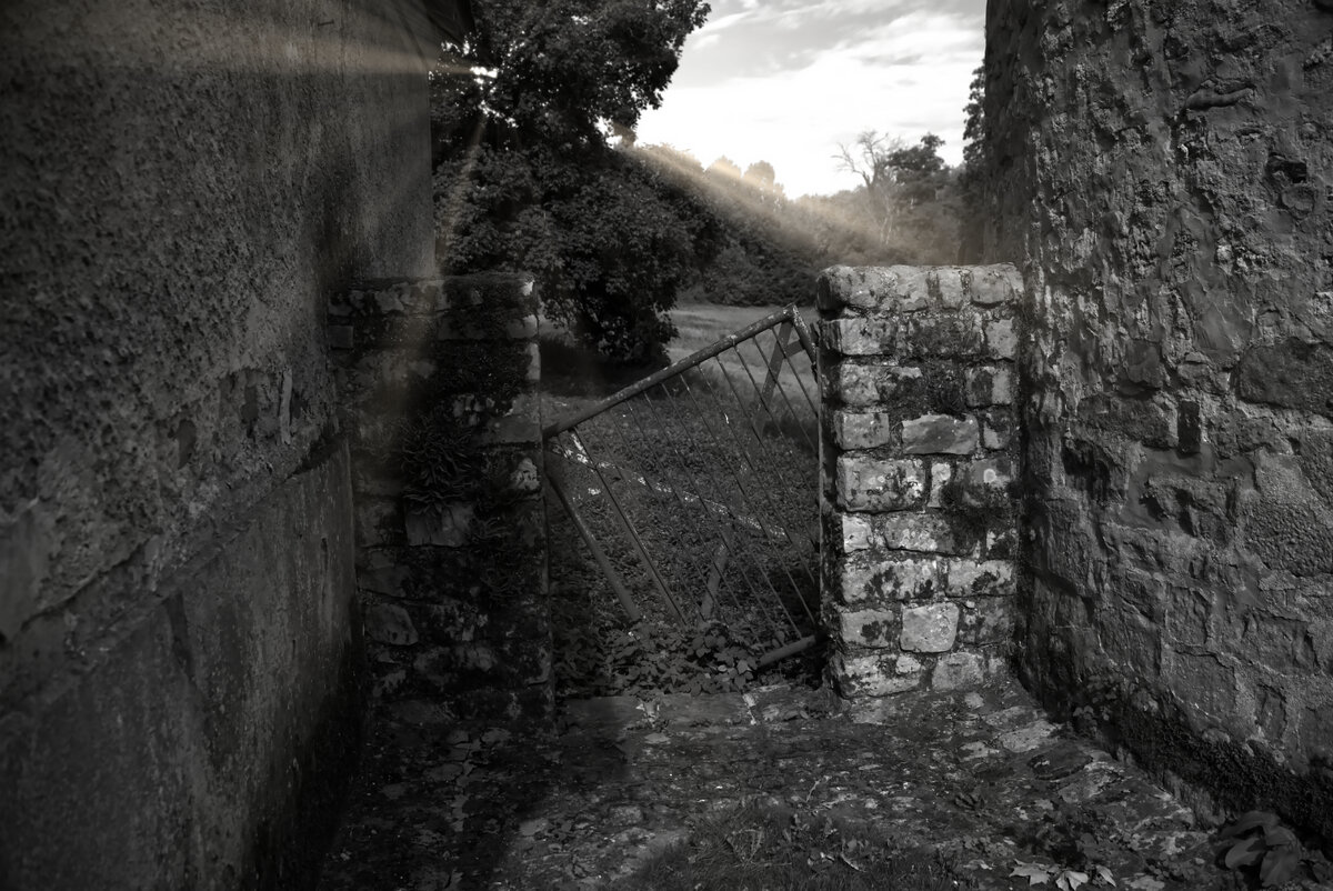 IMG_8773_2.jpg