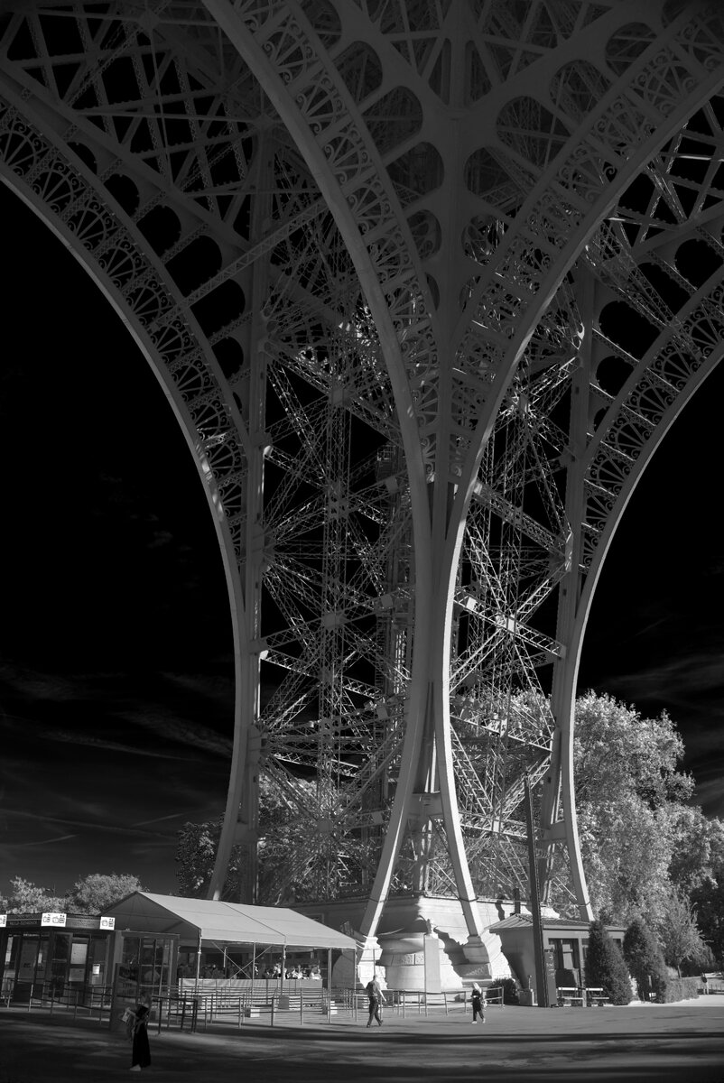 IMG_8829bw.jpg