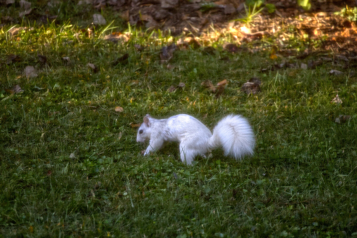 IMG_8911.jpg
