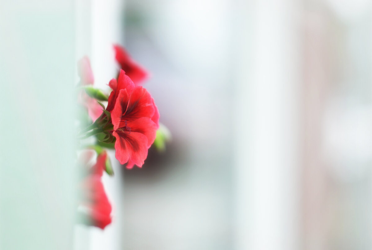 IMG_9092.jpeg