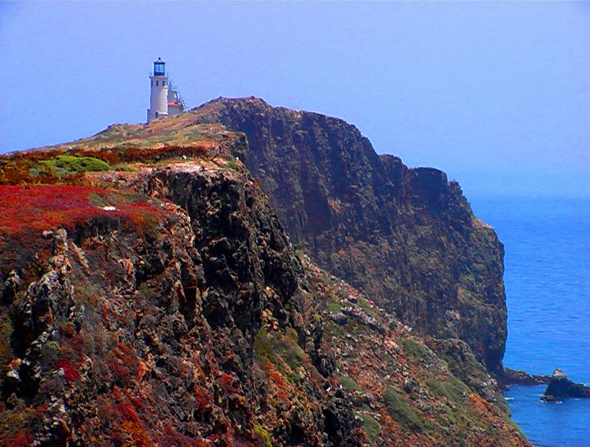 IMGA0531_saturated.JPG