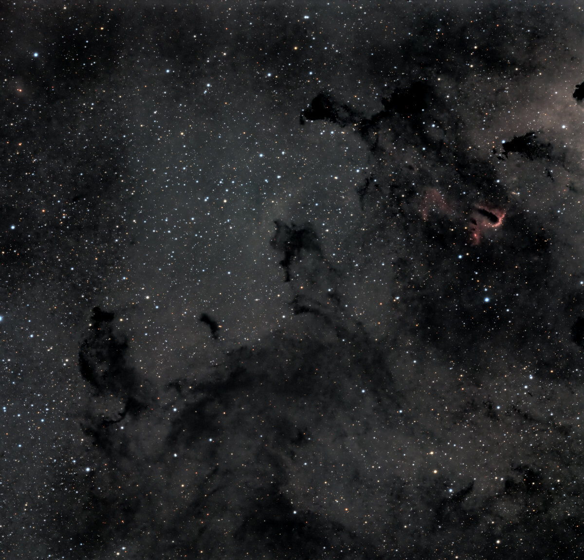 Inside the trunk - IC 1396 dark nebula.jpg