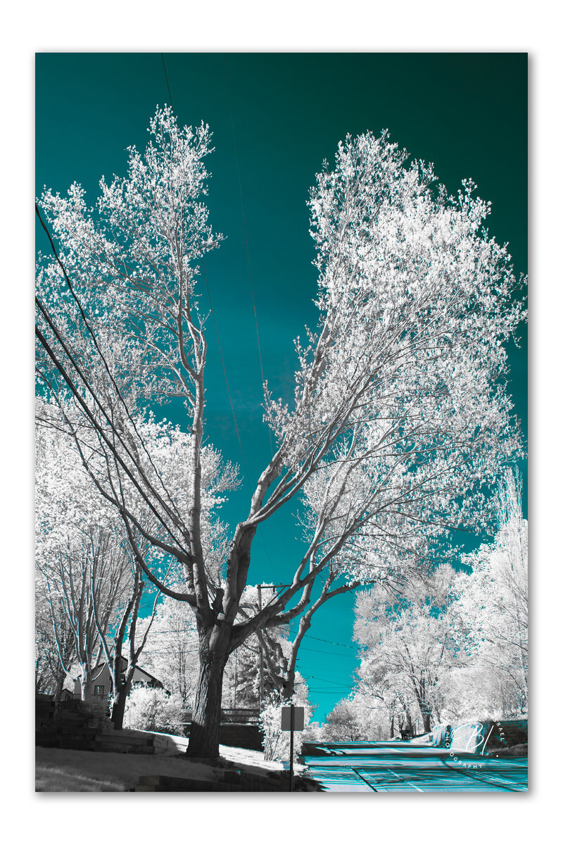 IR 050324-39-Edit_1200x1800_U_100_Original ratio.jpg