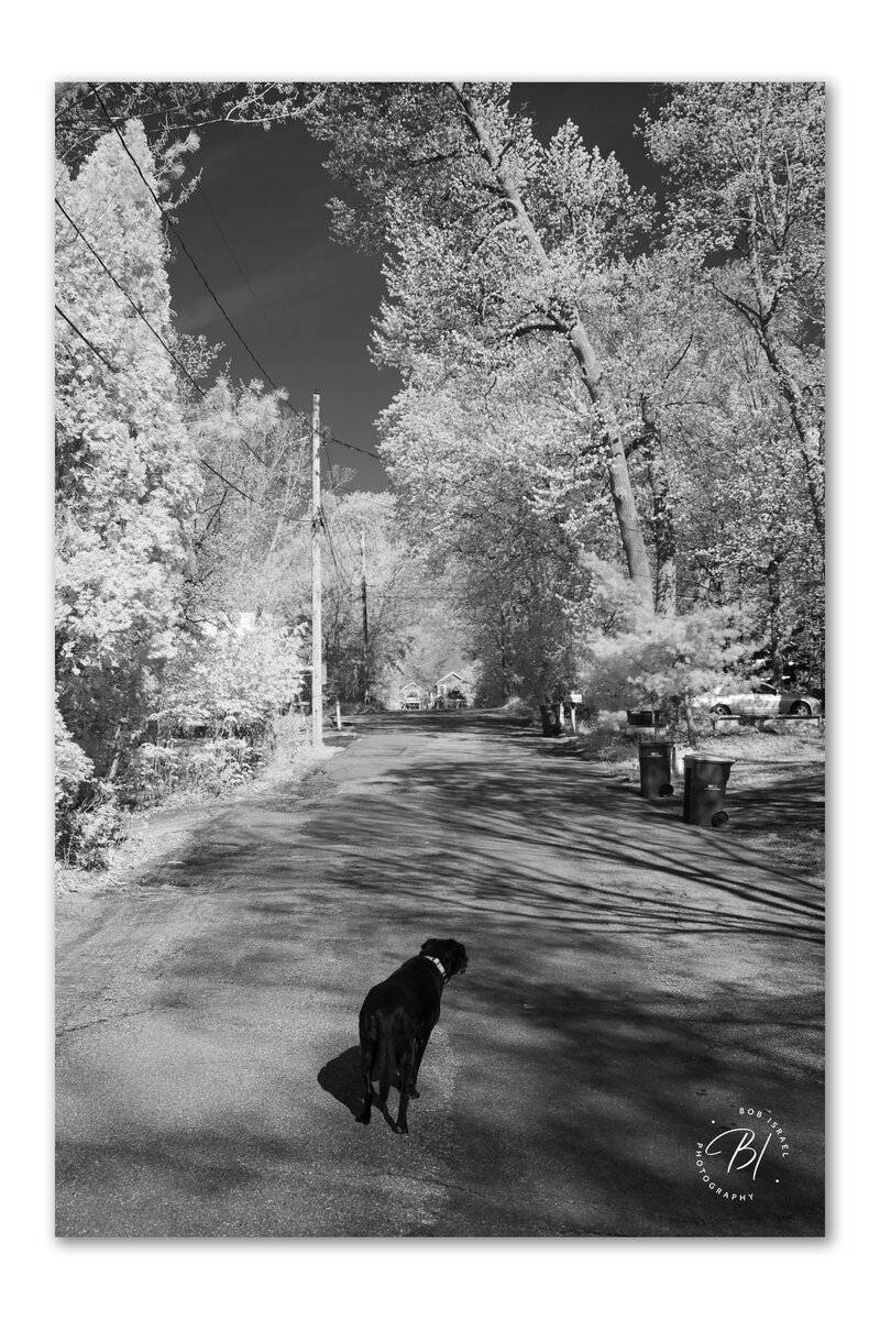 IR 050324-61_1200x1800_U_100_BIP 1200.jpg