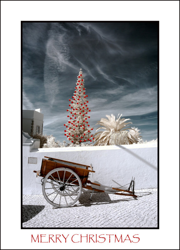 IR CHRISTMAS CARD.jpg