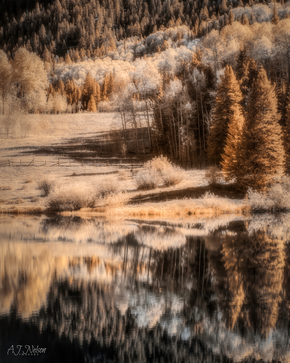 IR-Fall---Cimarron-2019---2.2.jpg